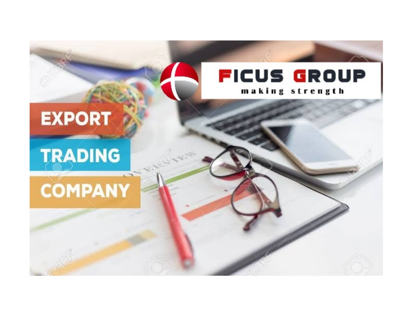 Ficus Group