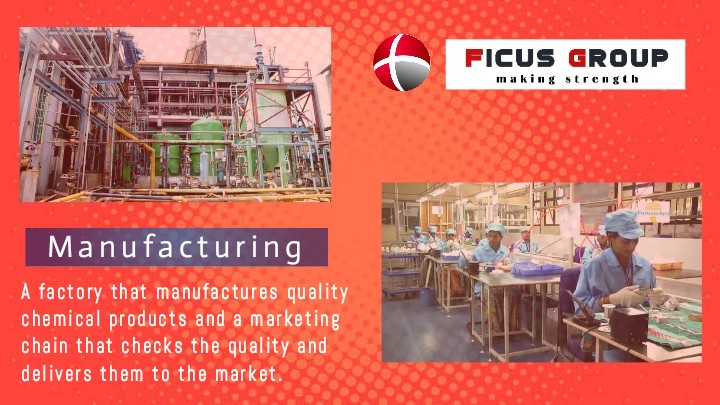 Ficus Group
